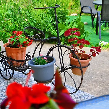 Apartment Dimitra
