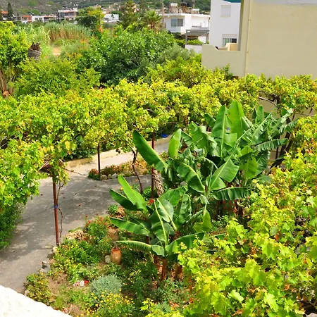 Dimitra Apartment