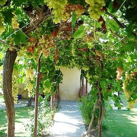 Apartment Dimitra